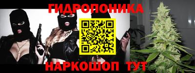 гашик Бузулук