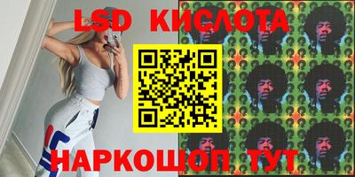 шишки Будённовск