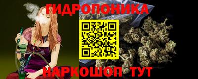 гашик Бузулук
