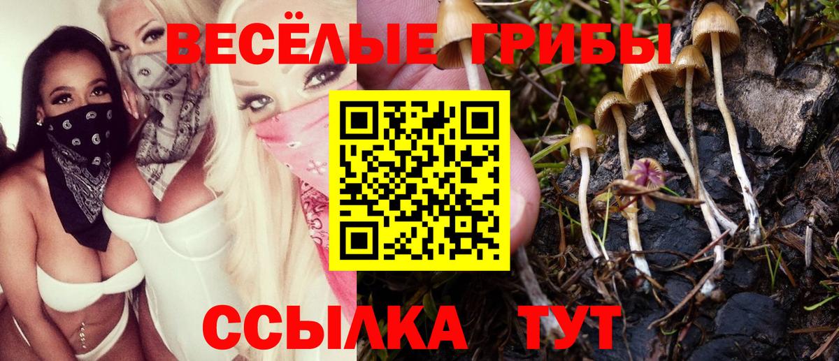 Пятигорск  Галлюциногенные грибы Magic Shrooms  что такое наркотик  Вход с VPN 