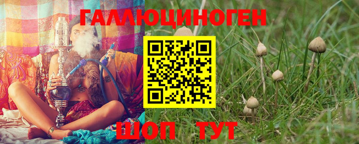 ГАШ Пятигорск